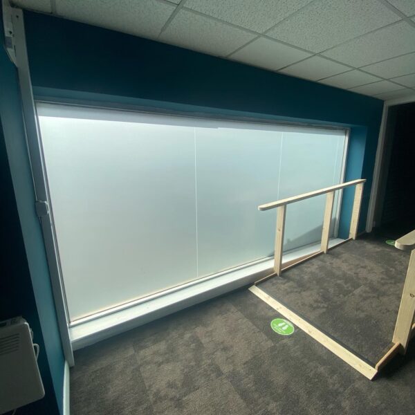 Frosted Silver Etch (Sheet)