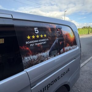 Printed Vinyl Graphics (Vehicle Grade)