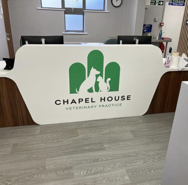 Print & Cut Graphics (Vehicle Grade)