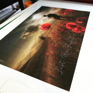 Print & Cut Graphics (Promotional Grade)