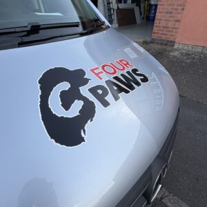 Print & Cut Graphics (Promotional Grade)