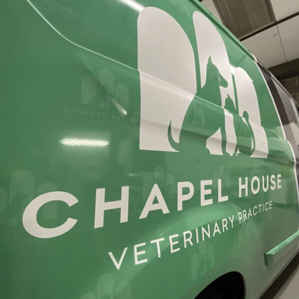img_8267 Printed Cast Graphics (Vehicle Wrap)